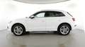 Audi Q5 50 2.0 tfsi e Business quattro 299cv s-tronic Blanco - thumbnail 3