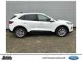 Ford Kuga 2.5 Duratec PHEV TITANIUM Weiß - thumbnail 2