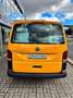 Volkswagen T6 Transporter T6.1 Transporter   LR R-Kam." Regaleinbau Bott" Gelb - thumbnail 6
