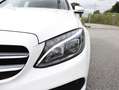 Mercedes-Benz C 300 C 300 9G AMG Line LED+Carplay+Burmester+Kam+Leder Blanc - thumbnail 7