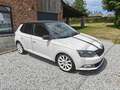 Skoda Fabia R5 Wit - thumbnail 1