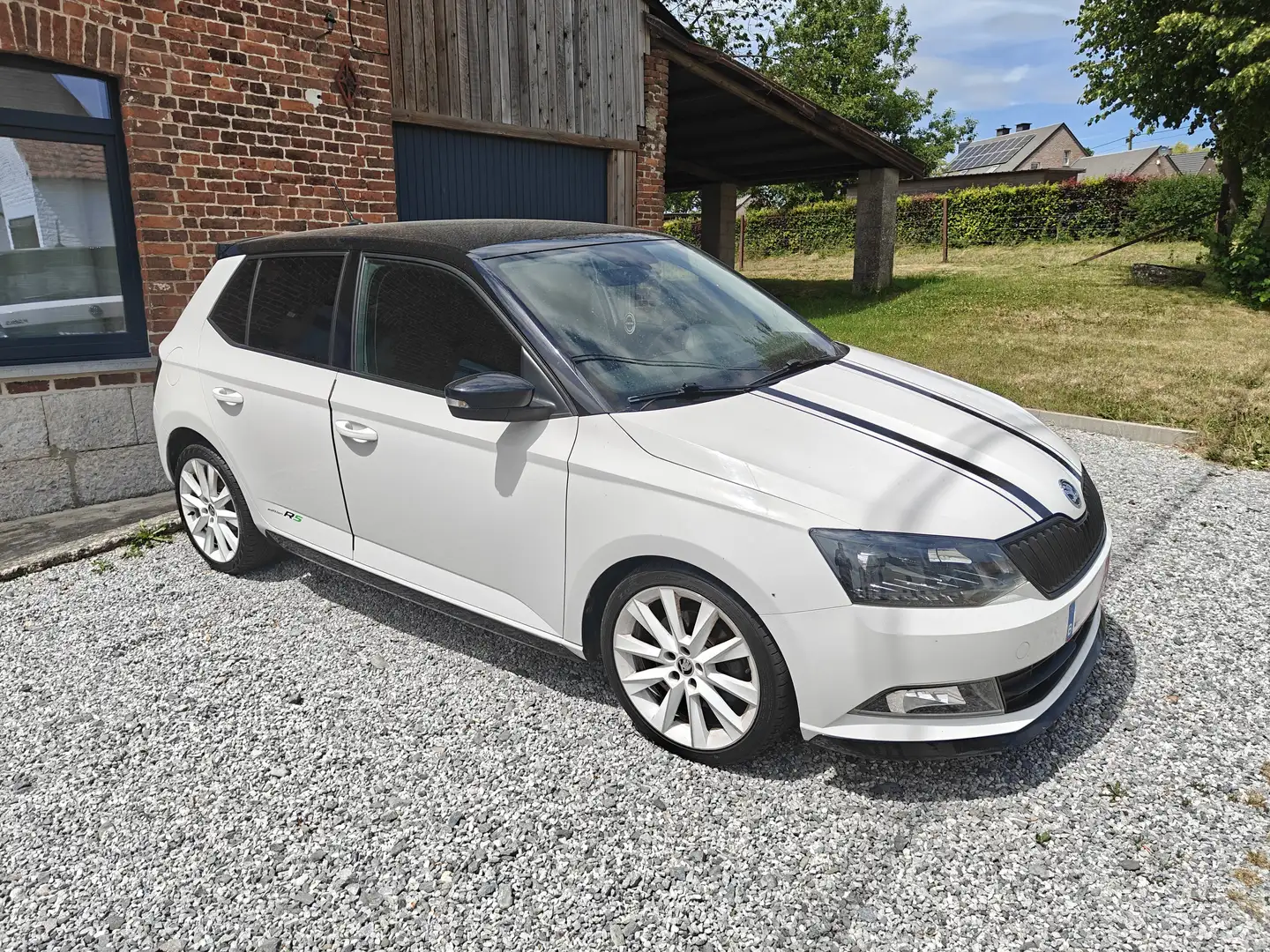 Skoda Fabia R5 Wit - 1