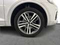 Audi Q5 2ª serie SPB 40 TDI quattro S tronic S line plus Argento - thumbnail 13