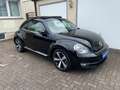 Volkswagen Beetle BEETLE EXCLUSIVE SPORT PANORAMA NAVI LEDER SHZ Чорний - thumbnail 8