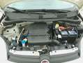 Fiat Panda Easy 1.2 Benzina 69CV Bianco - thumbnail 13