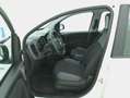 Fiat Panda Easy 1.2 Benzina 69CV Bianco - thumbnail 10