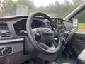 Ford Transit TRAIL KASTENWAGEN EcoBlue Hybrid 350L2 130PS Blanc - thumbnail 7