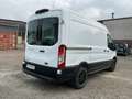 Ford Transit TRAIL KASTENWAGEN EcoBlue Hybrid 350L2 130PS Blanc - thumbnail 5