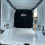 Ford Transit TRAIL KASTENWAGEN EcoBlue Hybrid 350L2 130PS Blanco - thumbnail 19