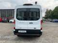 Ford Transit TRAIL KASTENWAGEN EcoBlue Hybrid 350L2 130PS Blanc - thumbnail 6