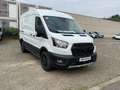 Ford Transit TRAIL KASTENWAGEN EcoBlue Hybrid 350L2 130PS Blanc - thumbnail 4