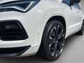 CUPRA Ateca 2.0 TSI 4Drive DSG VZ *AHK* Blanc - thumbnail 4