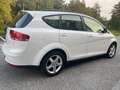 SEAT Altea Altea XL 1.6 TDI CR DPF*Nepatentati*Cerchi* Bianco - thumbnail 7