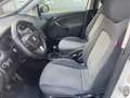 SEAT Altea Altea XL 1.6 TDI CR DPF*Nepatentati*Cerchi* Bianco - thumbnail 13