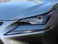 Lexus NX 300h AWD Premium | Panoramadak | Premium Navi | Stoelve Grijs - thumbnail 31