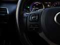 Lexus NX 300h AWD Premium | Panoramadak | Premium Navi | Stoelve Grijs - thumbnail 23