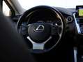 Lexus NX 300h AWD Premium | Panoramadak | Premium Navi | Stoelve Grijs - thumbnail 22