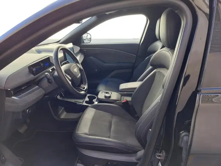Ford Mustang Mach-E 2023, foto 18