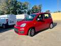Fiat Panda Pandina III 2024 Pandina 1.0 firefly hybrid s - thumbnail 2