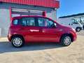 Fiat Panda Pandina III 2024 Pandina 1.0 firefly hybrid s - thumbnail 5