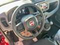 Fiat Panda Pandina III 2024 Pandina 1.0 firefly hybrid s - thumbnail 10