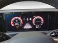 Volkswagen Tiguan 2.0 TDI SCR 4MOTION DSG R-Line Grau - thumbnail 10