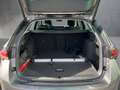 Skoda Octavia 4x4 Selection TSI DSG Grau - thumbnail 13