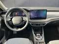 Skoda Octavia 4x4 Selection TSI DSG Grau - thumbnail 6