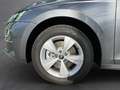 Skoda Octavia 4x4 Selection TSI DSG Grau - thumbnail 14