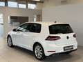 Volkswagen Golf Highline 1,5 TSI DSG*R-Line*ACC*PDC Weiß - thumbnail 8