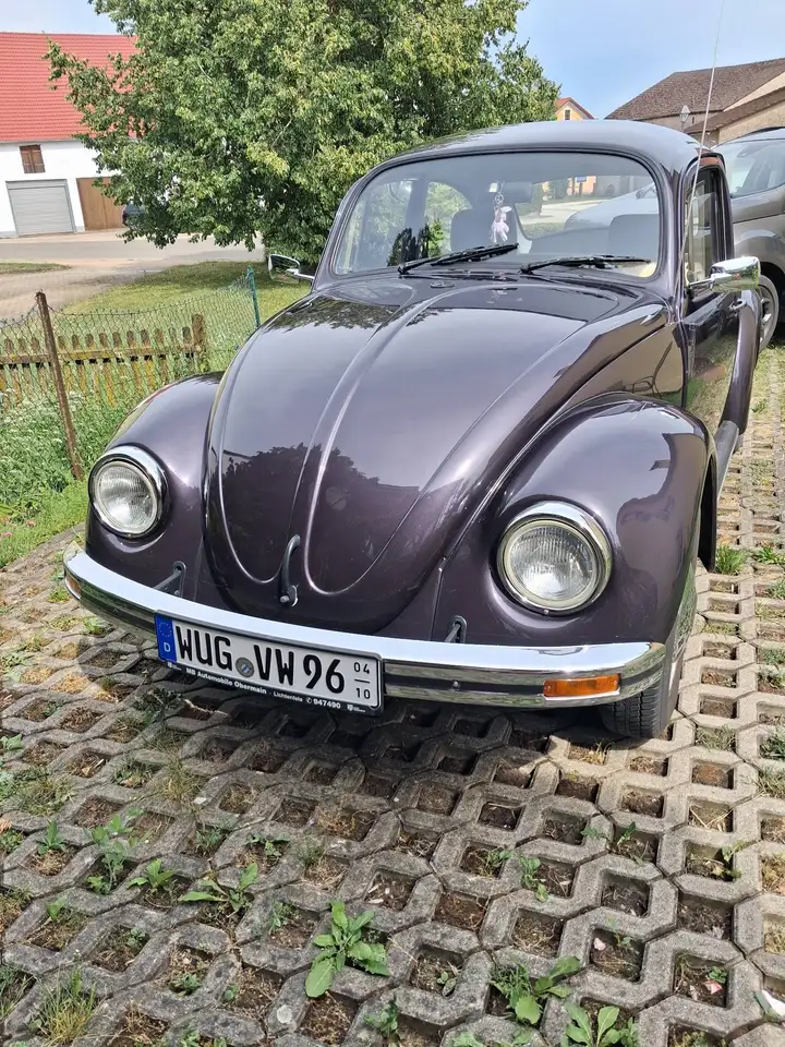 Volkswagen Käfer, foto 11