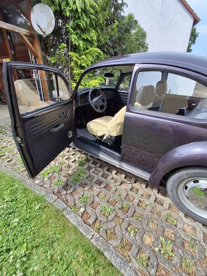 Volkswagen Käfer, foto 7