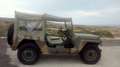 Ford MUTT M151 A2 Зелений - thumbnail 5