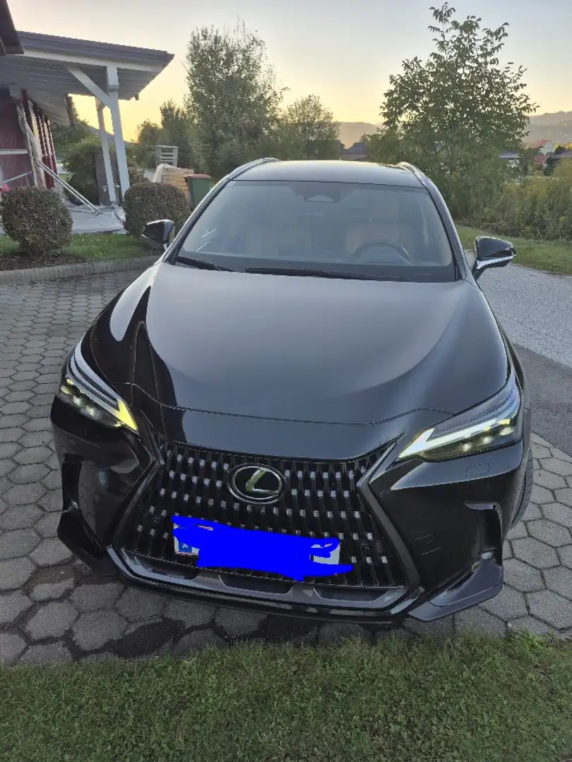 Lexus NX 450h+ NX 450h  E-Four Luxury Aut. Luxury Schwarz - 1