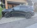 Lexus NX 450h+ NX 450h  E-Four Luxury Aut. Luxury Schwarz - thumbnail 2