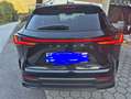 Lexus NX 450h+ NX 450h  E-Four Luxury Aut. Luxury Schwarz - thumbnail 4