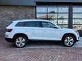 Skoda Kodiaq 2.0 TSI 4x4 Style Business 7p. | Uniek | Vol | Pan Blanco - thumbnail 5