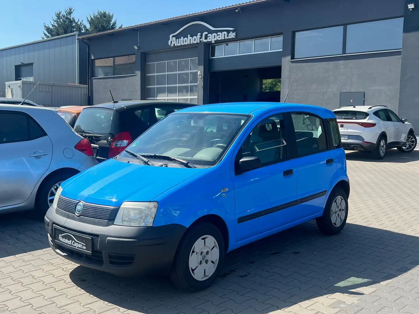 Fiat Panda Panda 1.1 8V Active/Zahnriemen Fisch/Servo/5 Tur Blau - 1