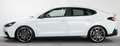 Hyundai i30 Fastback 2.0 T-GDI 275 CV N Performance Bianco - thumbnail 12