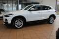 BMW X2 sDrive 18 i Advantage+Navi+PDC+SHZ+ Blanco - thumbnail 3