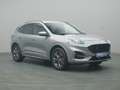 Ford Kuga ST-Line 190PS FHEV Aut. 4x4/Winter&Techno-P Silber - thumbnail 5