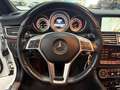 Mercedes-Benz CLS 350 Shooting Brake CDI 4-Matic / SCHUIFKANTELDAK / MAS Wit - thumbnail 12
