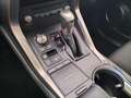 Lexus NX 300 300h Business Navigation 2WD Bianco - thumbnail 6
