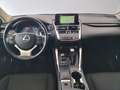 Lexus NX 300 300h Business Navigation 2WD Blanco - thumbnail 23