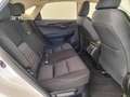 Lexus NX 300 300h Business Navigation 2WD White - thumbnail 11