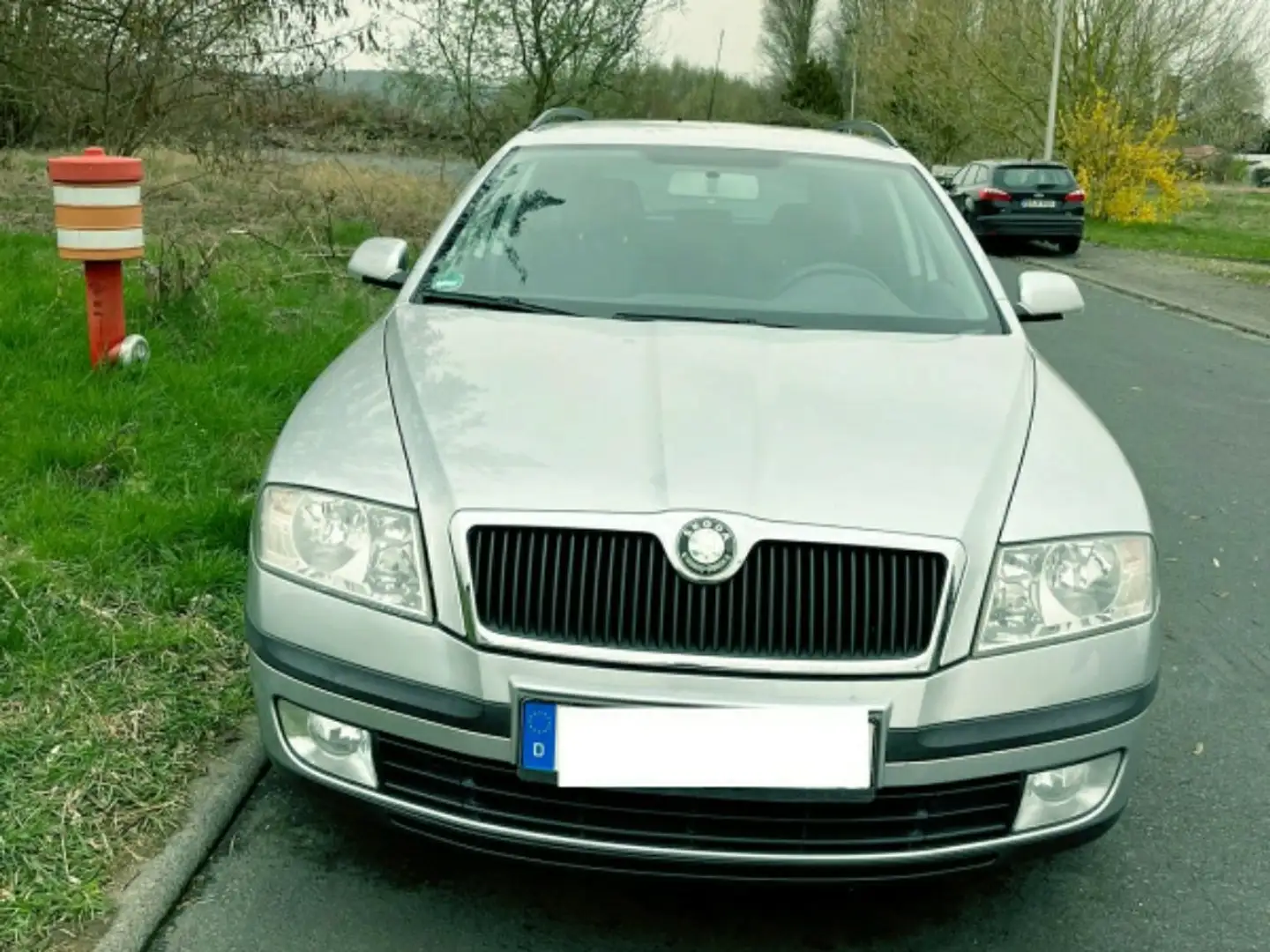 Skoda Octavia Gümüş rengi - 1