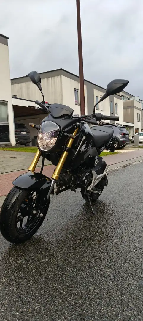 Honda MSX 125 Arrow exhaust Noir - 2