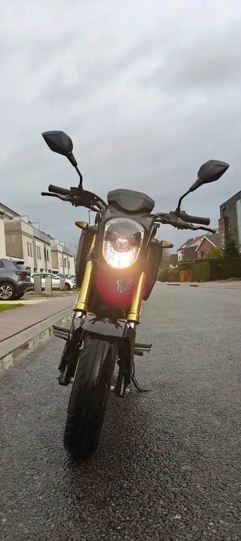 Honda MSX 125 Arrow exhaust Noir - 1