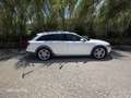 Audi A6 allroad 3.0 tdi Ambiente 245cv s-tronic - thumbnail 2