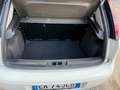Fiat Punto Punto 5p 1.3 mjt II 16v Easy eco s Blanc - thumbnail 6